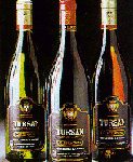 Vin de Tursan