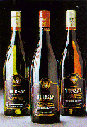 Vin de Tursan