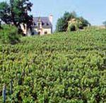 Vin de Jasnières