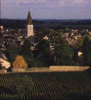 Vin de Nuits Saint-Georges