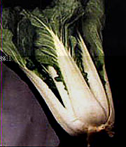 Bok Choy