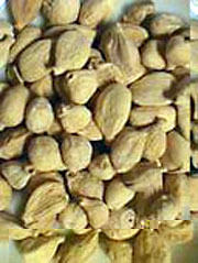 Cardamome