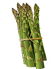 Asperge