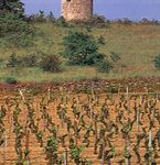 Vin de Chinon