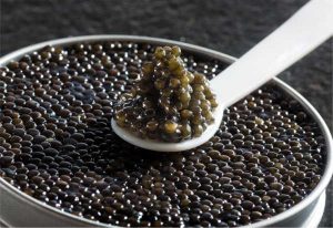 caviar de France