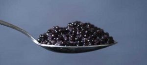 caviar pas de cuillere en metal