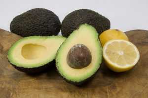 calories dans les avocats