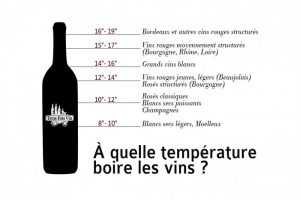 quelle temperature boire les vin