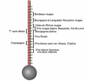 thermometre du vin