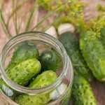 Recette conserves de cornichons