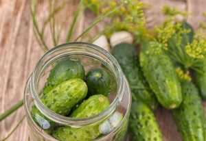 Recette conserves de cornichons