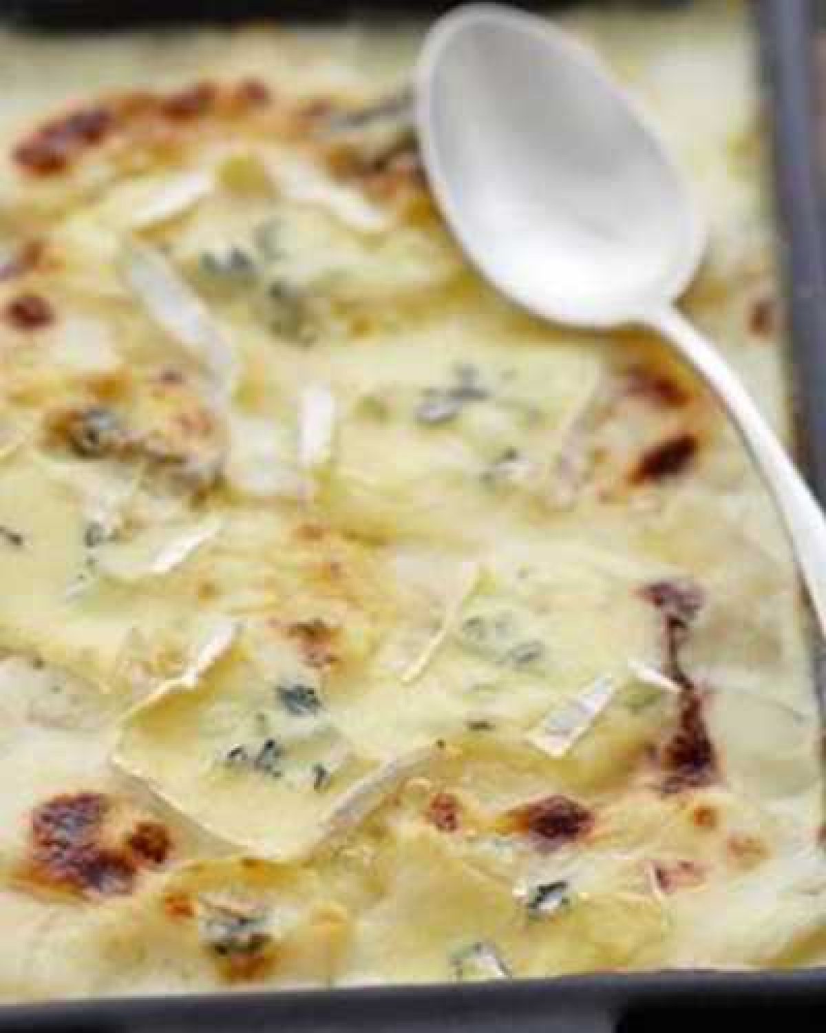 Pommes De Terre Aux Lardons Sauce Roquefort Recettes Et Terroirs
