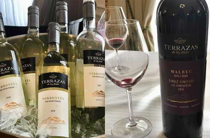 Bodega Terrazas vins Torrontes et Malbec