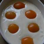 Recette abricot imitation oeuf sur le plat