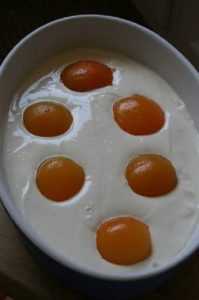 Recette abricot imitation oeuf sur le plat