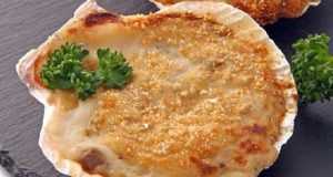 Coquilles Saint Jacques Gratinées Au Vin Blanc