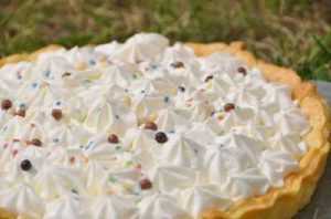 Recette Tarte fondante à la rhubarbe