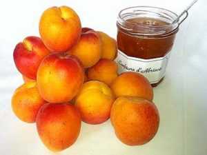 Recette Confiture abricots pêches