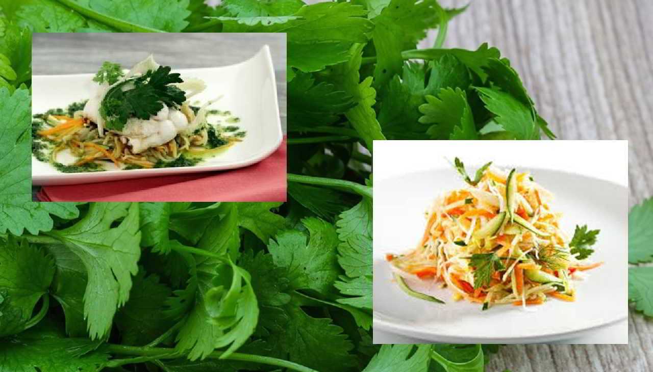 Filet de Sole roulé et sa julienne de légumes