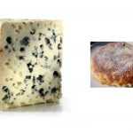 Recette Matefaim au roquefort