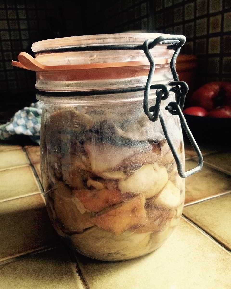 Recette Champignons (cèpes et sanguins) en bocaux