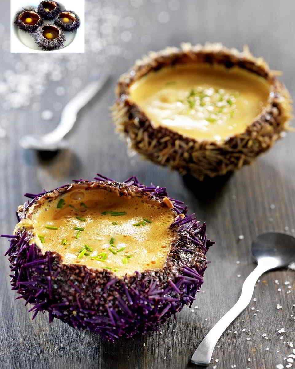 Recette Oeufs de cailles et coques d’oursin