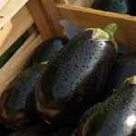 Recette Salade aubergines