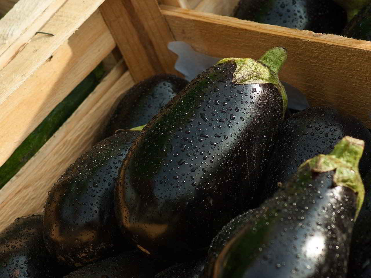 Recette Salade aubergines