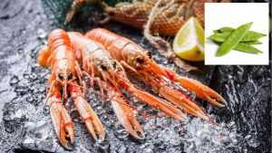 Recette Poêlée de langoustines sur lit de pois gourmands