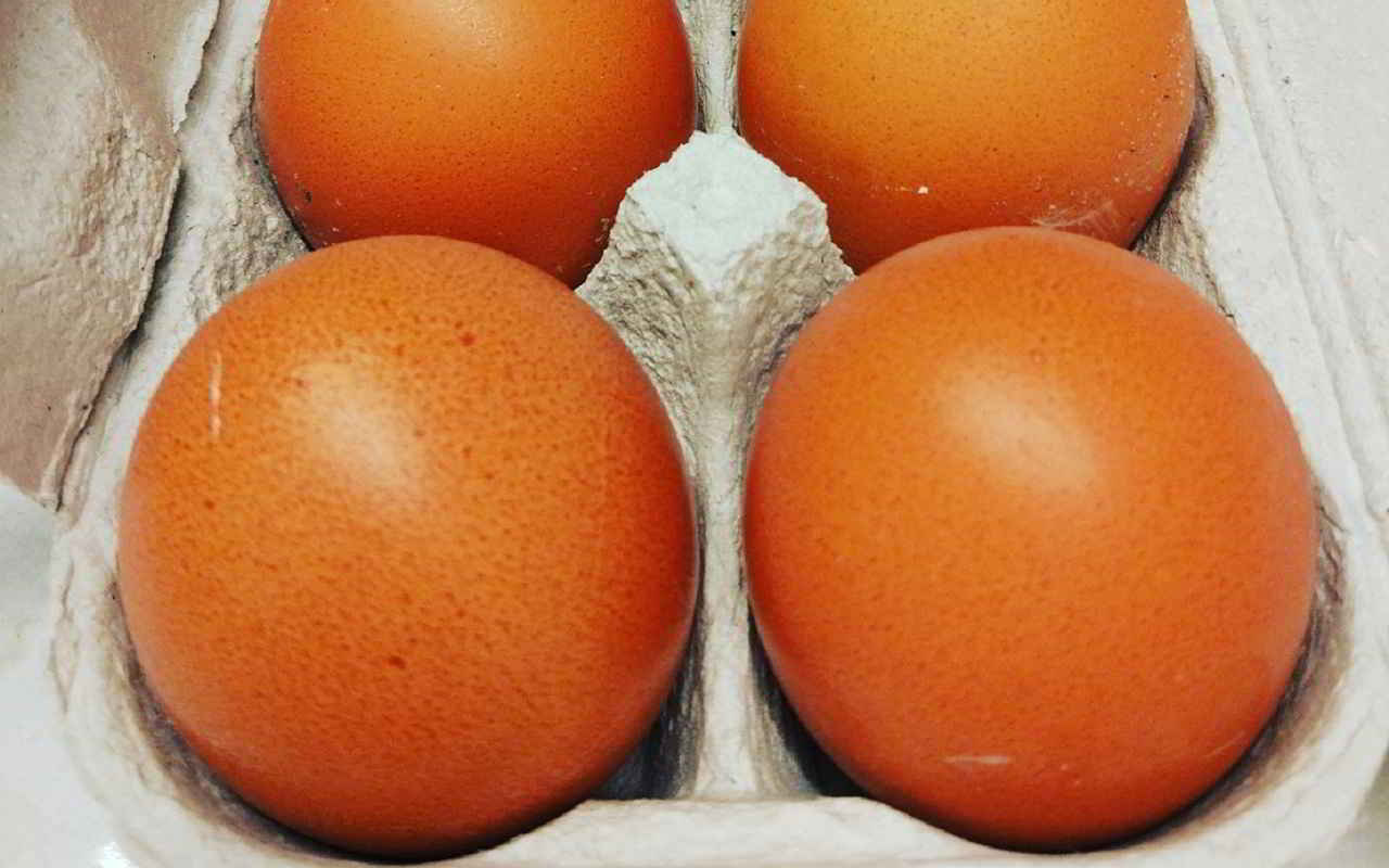 Recette Omelette à l'ail succulente et rapide