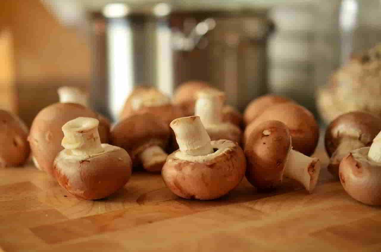 Champignons de Paris farcis à la duxelles de champignons