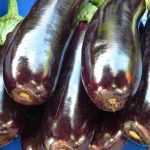 Recette Aubergines farcies