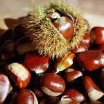 Châtaignes pour crème de marrons maison