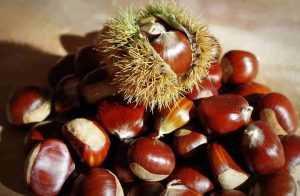 Châtaignes pour crème de marrons maison